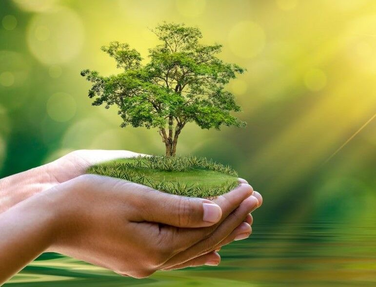 Environmental Research Image Alt Text