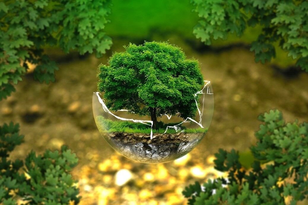Environmental Research Image Alt Text